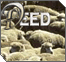 Shabbat Observance - Part VI