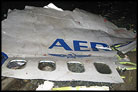 Jewish Family of Four Perishes in Russian Airline Disaster Jewish Family of Four Perishes in Russian Airline Disaster