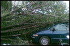 Southeast Texas Emerges From Hurricane Ike With Costly Property Damage Southeast Texas Emerges From Hurricane Ike With Costly Property Damage
