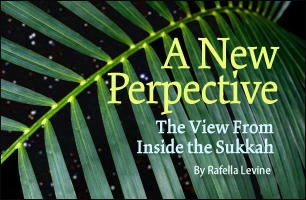 A New Perspective