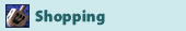 Hanukkah Shopping