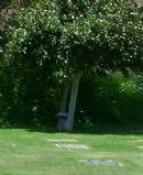 Jewish Burial/Cemetery