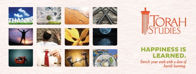 Torah Studies 2013.jpg