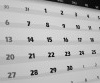 8 Nights...8 Great Events